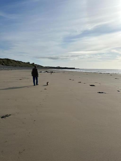 The Mustard Seed Villa Kilkeel Exteriör bild